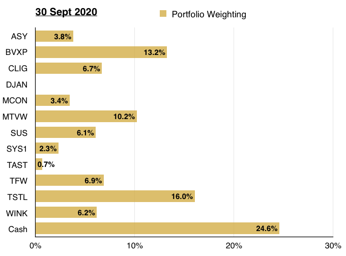 maynard paton q3 2020 portfolio holding weighting
