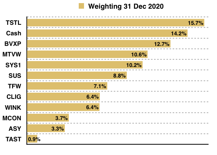 maynard paton 2020 q4 portfolio weightings year end